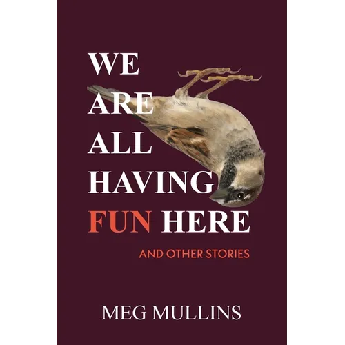 We Are All Having Fun Here - Paperback