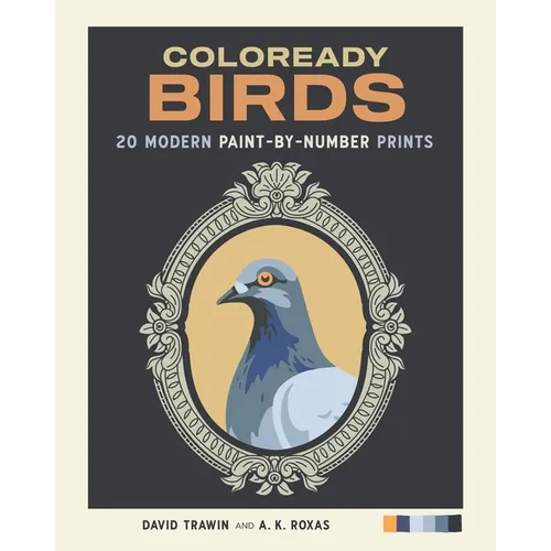 Coloready Birds: 20 Modern Paint-By-Number Prints - Paperback
