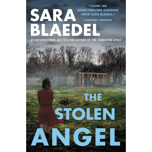 The Stolen Angel - Paperback