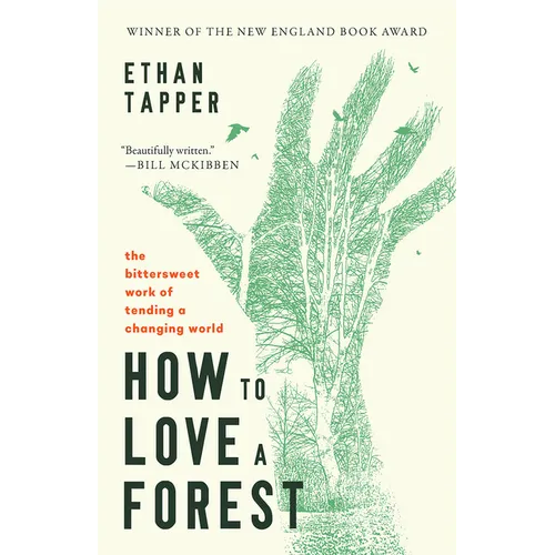 How to Love a Forest: The Bittersweet Work of Tending a Changing World - Paperback