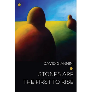 Stones are the First to Rise - Paperback
