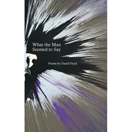 What the Man Seemed to Say - Paperback