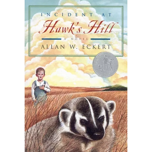 Incident at Hawk's Hill - Paperback