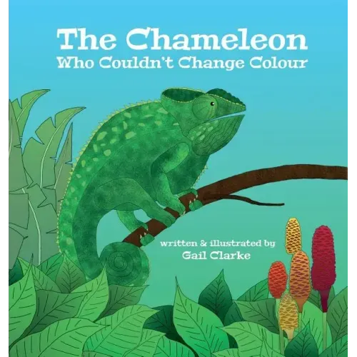 The Chameleon Who Couldn't Change Colour - Hardcover
