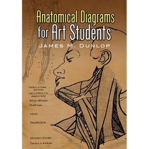 Anatomical Diagrams for Art Students - Paperback