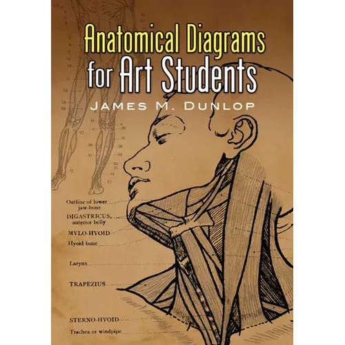 Anatomical Diagrams for Art Students - Paperback