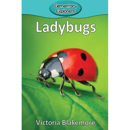 Ladybugs - Paperback