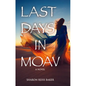 Last Days in Moav - Hardcover