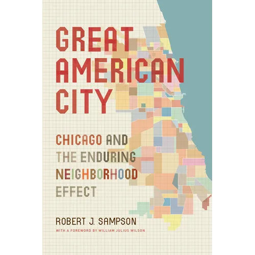 Great American City: Chicago and the Enduring Neighborhood Effect - Paperback