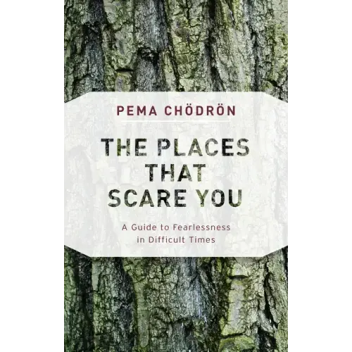 The Places That Scare You: A Guide to Fearlessness in Difficult Times - Paperback