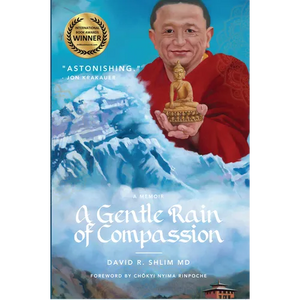 A Gentle Rain of Compassion - Paperback