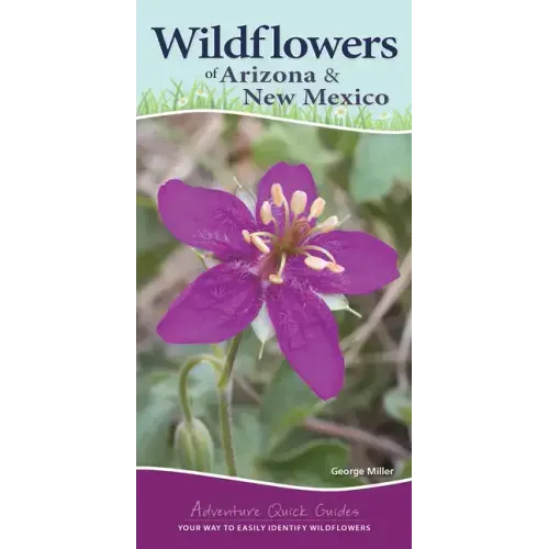 Wildflowers of Arizona & New Mexico: Your Way to Easily Identify Wildflowers - Spiral