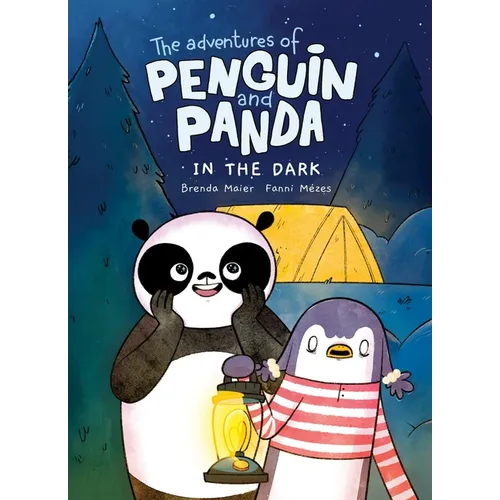 The Adventures of Penguin and Panda: In the Dark (Vol 4): A Graphic Novel - Paperback