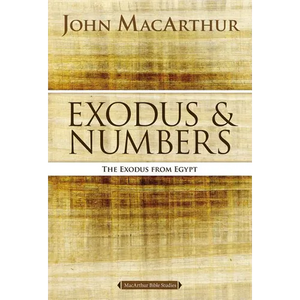 Exodus and Numbers: The Exodus from Egypt - Paperback