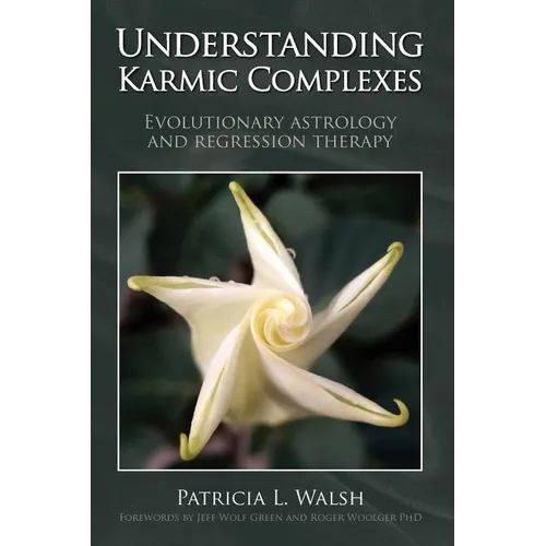 Understanding Karmic Complexes - Paperback