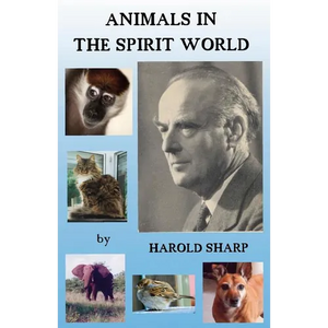 Animals in the Spirit World - Paperback