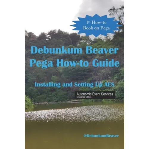 Debunkum Beaver How-to Guide: Installing and Testing AES - Paperback
