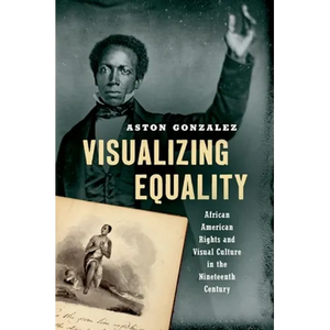 Visualizing Equality: African American Rights and Visual Culture in the Nineteenth Century - Paperback