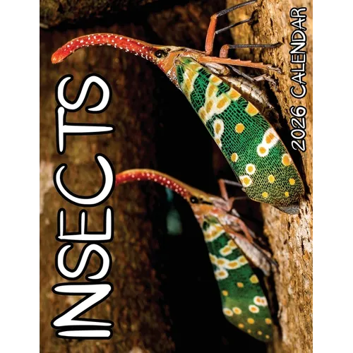 Insects 2026 Calendar - Paperback