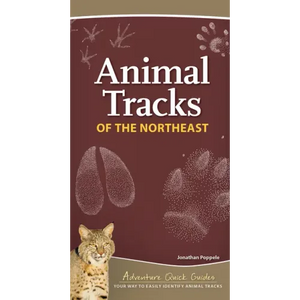 Animal Tracks of the Northeast: Your Way to Easily Identify Animal Tracks - Spiral
