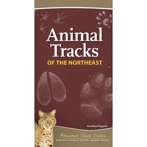 Animal Tracks of the Northeast: Your Way to Easily Identify Animal Tracks - Spiral