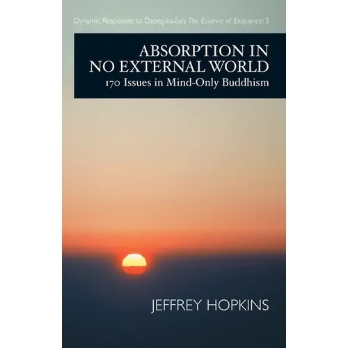 Absorption in No External World: 170 Issues in Mind-Only Buddhism - Paperback