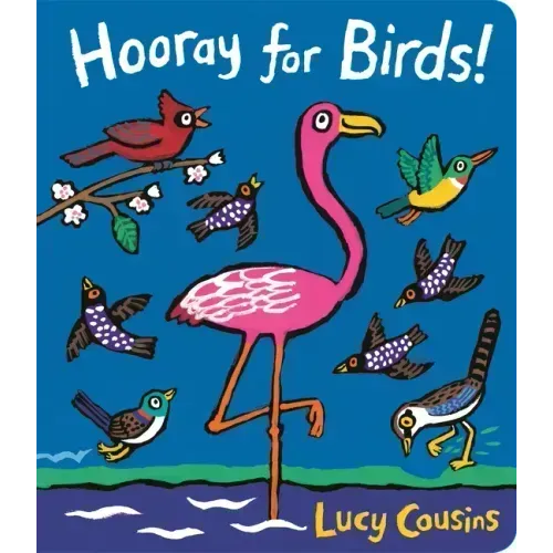 Hooray for Birds! - Board Book