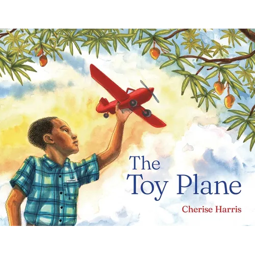 The Toy Plane - Hardcover