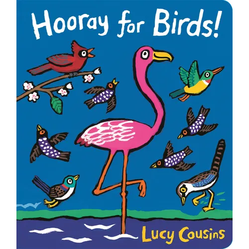 Hooray for Birds! - Board Book