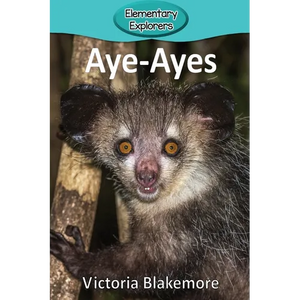 Aye-Ayes - Paperback