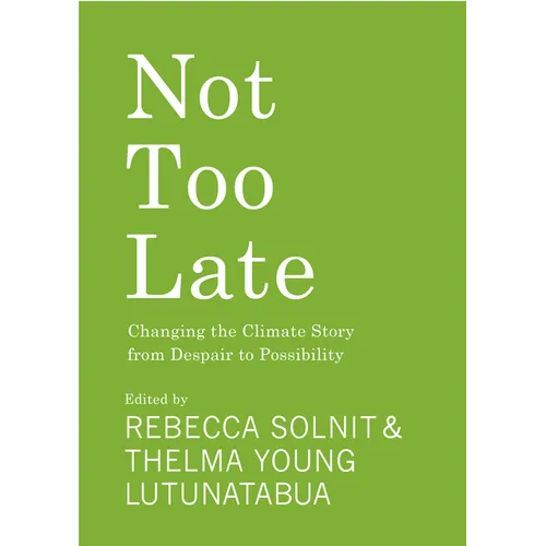 Not Too Late: Changing the Climate Story from Despair to Possibility - Paperback