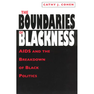 The Boundaries of Blackness: AIDS and the Breakdown of Black Politics - Paperback