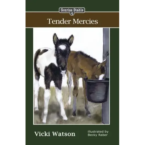 Sonrise Stable: Tender Mercies - Paperback