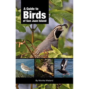 A Guide to Birds of San Juan Island - Paperback