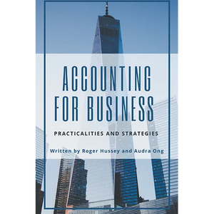 Accounting for Business: Practicalities and Strategies - Paperback
