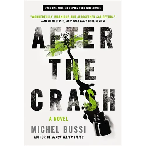After the Crash - Paperback