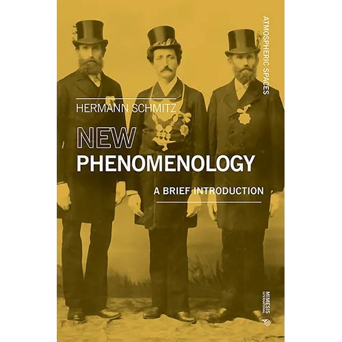 New Phenomenology: A brief introduction - Paperback