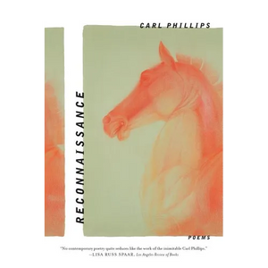 Reconnaissance: Poems - Paperback