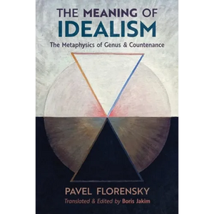 The Meaning of Idealism: The Metaphysics of Genus and Countenance - Paperback