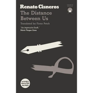 The Distance Between Us - Paperback