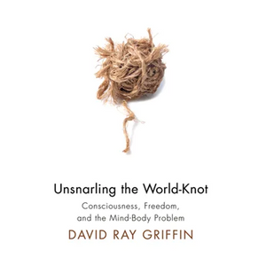 Unsnarling the World-Knot - Paperback