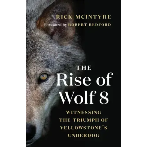 The Rise of Wolf 8: Witnessing the Triumph of Yellowstone's Underdog - Paperback