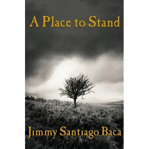 A Place to Stand - Paperback