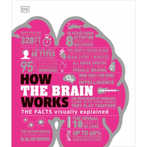 How the Brain Works: The Facts Visually Explained - Hardcover