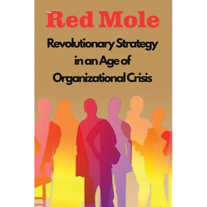 Revolutionary Strategy in an Age of Organizational Crisis - Paperback