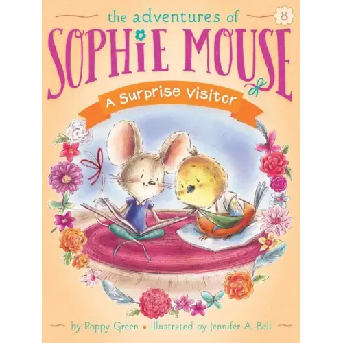A Surprise Visitor - Paperback