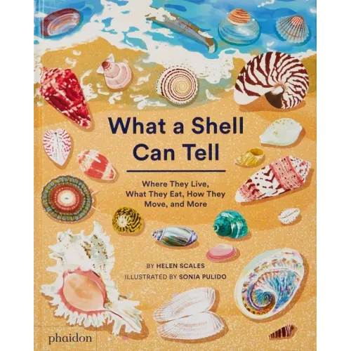 What a Shell Can Tell - Hardcover