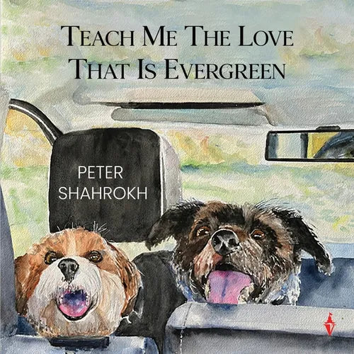Teach Me the Love that Is Evergreen - Paperback