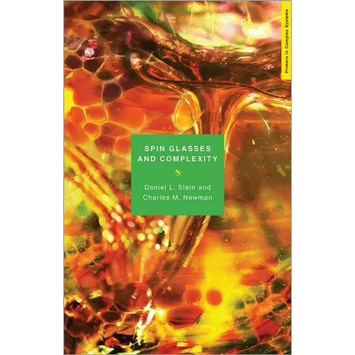 Spin Glasses and Complexity - Paperback