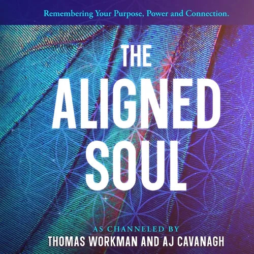 The Aligned Soul - Paperback